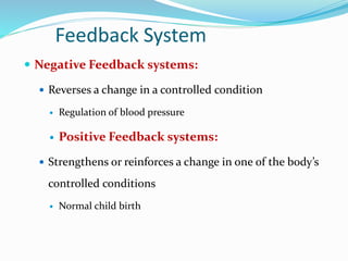 Feedback System
 Negative Feedback systems:
 Reverses a change in a controlled condition
 Regulation of blood pressure
 Positive Feedback systems:
 Strengthens or reinforces a change in one of the body’s
controlled conditions
 Normal child birth
 
