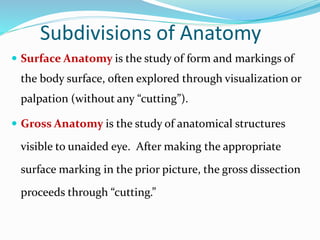 Subdivisions of Anatomy
 Surface Anatomy is the study of form and markings of
the body surface, often explored through visualization or
palpation (without any “cutting”).
 Gross Anatomy is the study of anatomical structures
visible to unaided eye. After making the appropriate
surface marking in the prior picture, the gross dissection
proceeds through “cutting.”
 