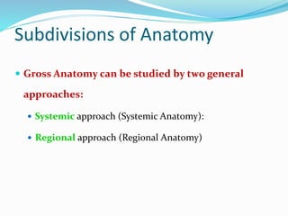 Subdivisions of Anatomy
 Gross Anatomy can be studied by two general
approaches:
 Systemic approach (Systemic Anatomy):
 Regional approach (Regional Anatomy)
 
