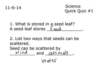 11-6-14 Science 
Quick Quiz #1 
1. What is stored in a seed leaf? 
A seed leaf stores ______________. 
2. List two ways that seeds can be 
scattered. 
Seed can be scattered by 
__________ and ___________. 
 