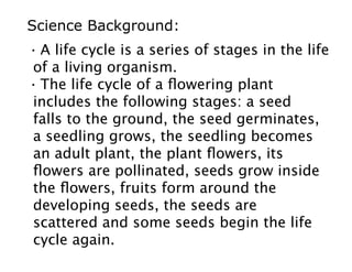 Science Background: 
· A life cycle is a series of stages in the life 
of a living organism. 
· The life cycle of a flowering plant 
includes the following stages: a seed 
falls to the ground, the seed germinates, 
a seedling grows, the seedling becomes 
an adult plant, the plant flowers, its 
flowers are pollinated, seeds grow inside 
the flowers, fruits form around the 
developing seeds, the seeds are 
scattered and some seeds begin the life 
cycle again. 
 