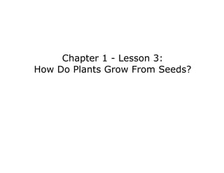 Chapter 1 - Lesson 3: 
How Do Plants Grow From Seeds? 
 