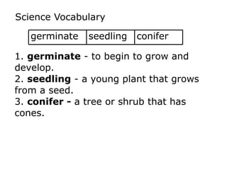 Science Vocabulary 
germinate seedling conifer 
1. germinate - to begin to grow and 
develop. 
2. seedling - a young plant that grows 
from a seed. 
3. conifer - a tree or shrub that has 
cones. 
 