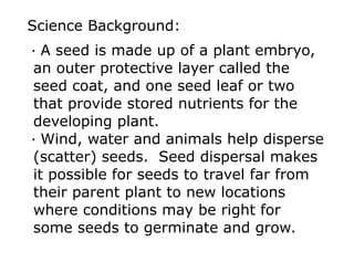 Science Background: 
· A seed is made up of a plant embryo, 
an outer protective layer called the 
seed coat, and one seed leaf or two 
that provide stored nutrients for the 
developing plant. 
· Wind, water and animals help disperse 
(scatter) seeds. Seed dispersal makes 
it possible for seeds to travel far from 
their parent plant to new locations 
where conditions may be right for 
some seeds to germinate and grow. 
 
