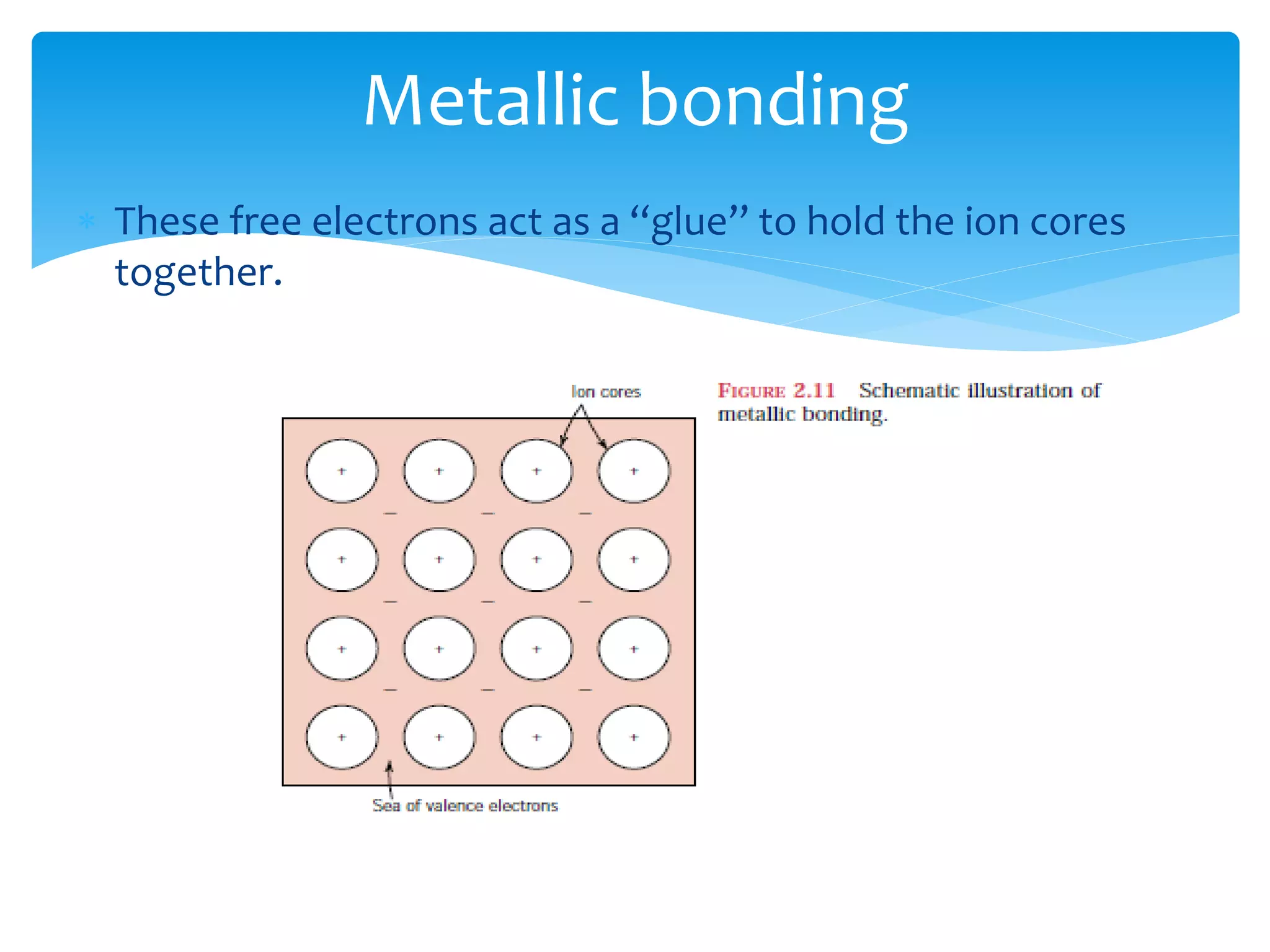  These free electrons act as a ‘‘glue’’ to hold the ion cores
together.
Metallic bonding
 
