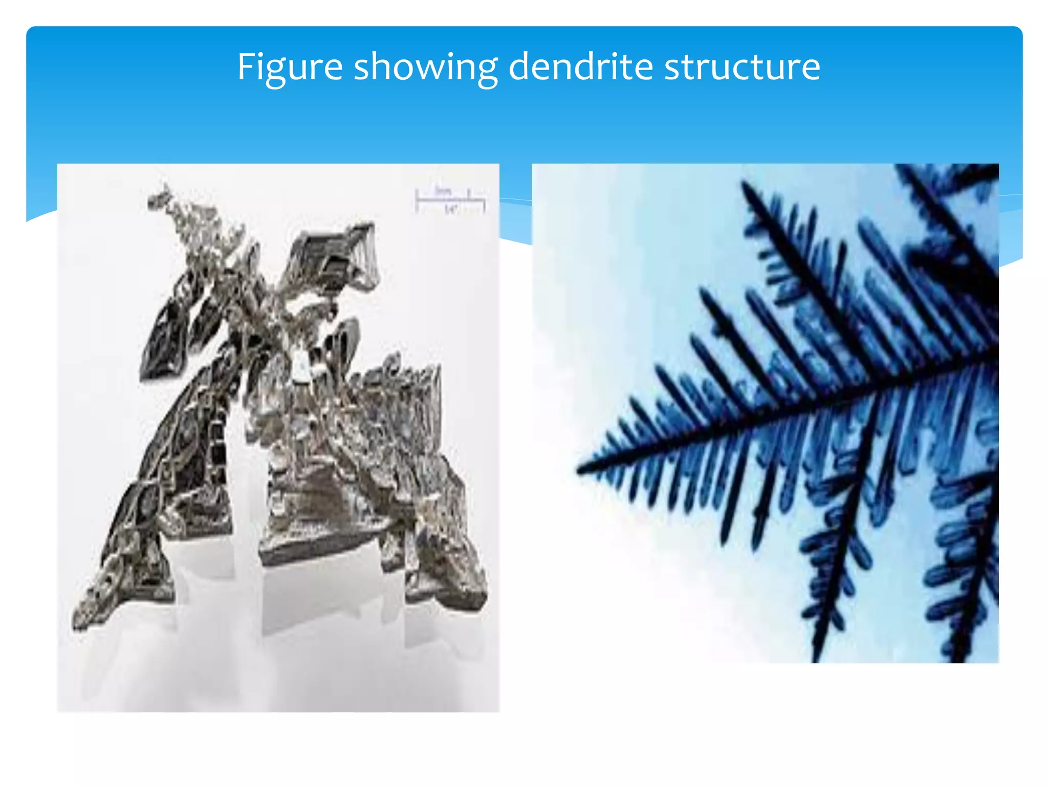 Figure showing dendrite structure
 