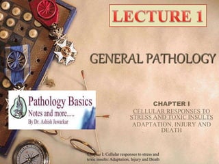 Chapter I: Cellular responses to stress and
toxic insults: Adaptation, Injury and Death
GENERAL PATHOLOGY
CHAPTER I
CELLULAR RESPONSES TO
STRESS AND TOXIC INSULTS
ADAPTATION, INJURY AND
DEATH
 