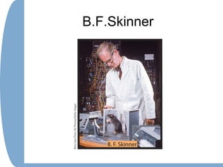 B.F.Skinner
 