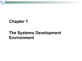 Chapter 1
The Systems Development
Environment
 