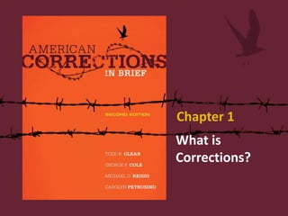 What is
Corrections?
Chapter 1
 