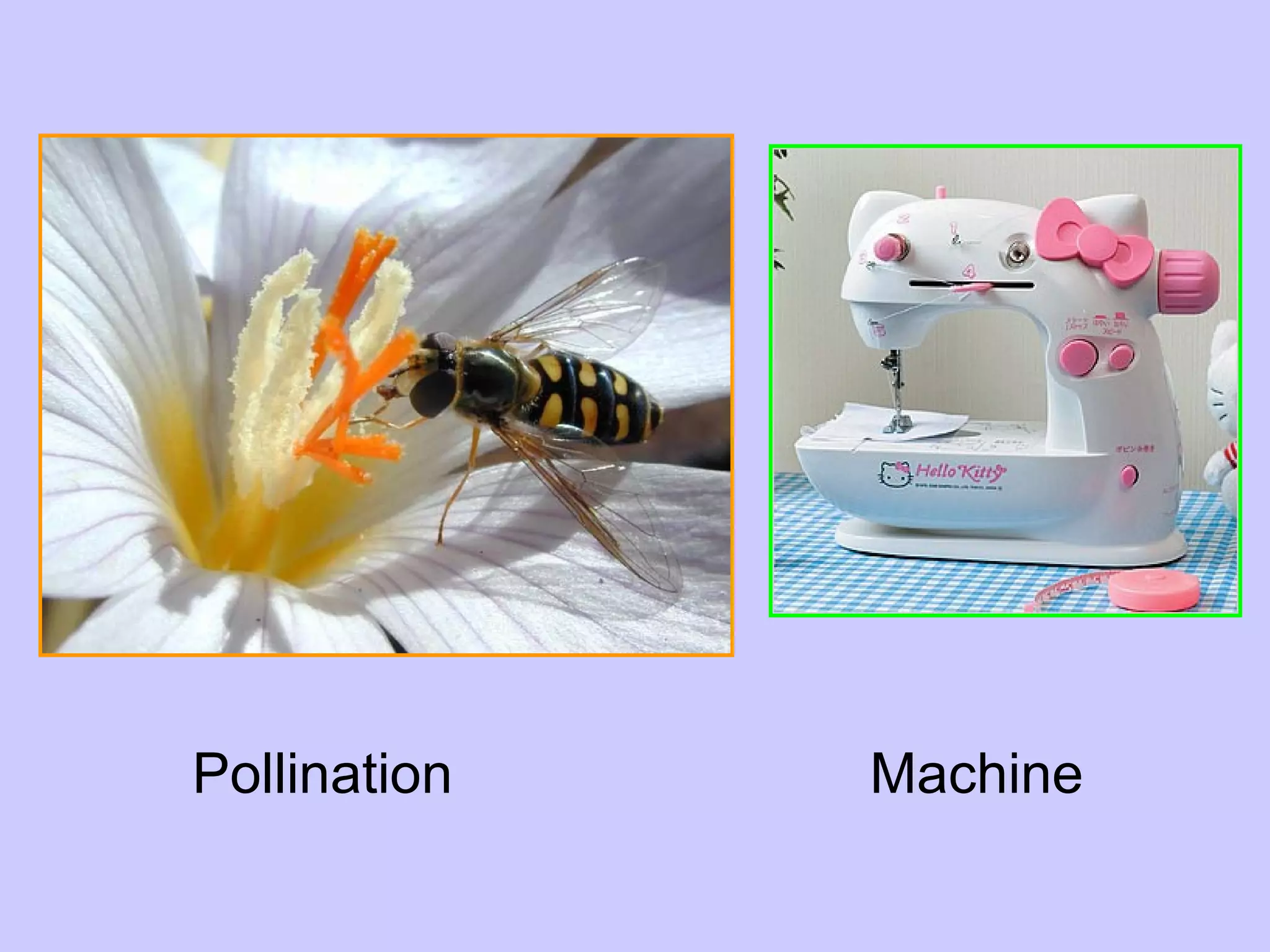 Form 1 Science Chapter 1.1 | PPT