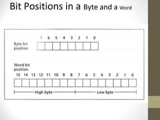 Chapter 1 | PPT