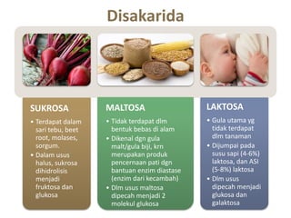 Disakarida
SUKROSA
• Terdapat dalam
sari tebu, beet
root, molases,
sorgum.
• Dalam usus
halus, sukrosa
dihidrolisis
menjadi
fruktosa dan
glukosa
MALTOSA
• Tidak terdapat dlm
bentuk bebas di alam
• Dikenal dgn gula
malt/gula biji, krn
merupakan produk
pencernaan pati dgn
bantuan enzim diastase
(enzim dari kecambah)
• Dlm usus maltosa
dipecah menjadi 2
molekul glukosa
LAKTOSA
• Gula utama yg
tidak terdapat
dlm tanaman
• Dijumpai pada
susu sapi (4-6%)
laktosa, dan ASI
(5-8%) laktosa
• Dlm usus
dipecah menjadi
glukosa dan
galaktosa
 