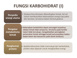 FUNGSI KARBOHIDRAT (I)
• Glukosa bisa disimpan dibandingkan lemak, Sel-sel
tubuh membutuhkan ketersediaan energi siap pakai
dan konstan, terutama dalam bentuk glukosa
Penyedia
energi utama
• Keberadaan karbohidrat dapat mencegah terjadinya
okidasi lemak tidak sempurna. Terutama pada kondisi
tubuh tidak tercukupi, mengakibatkan peningkatan
pemecahan lemak sehingga terjadi penumpukkan badan-
badan keton dan keasaman pada darah (Asidosis)
Pengatur
metabolisme
lemak
• Apabila kebutuhan tidak mencukupi dari karbohidrat,
protein akan dipecah untuk menghasilkan energi
Penghemat
protein
 