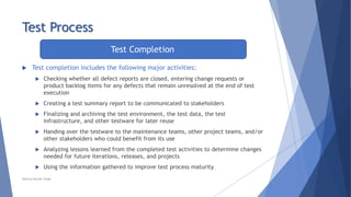 Chapter 1 - Fundamentals of Testing | PPTX