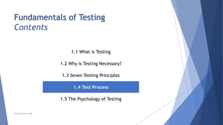 Chapter 1 - Fundamentals of Testing | PPTX