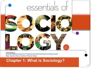 ANTHONY GIDDENS ● MITCHELL DUNEIER ● RICHARD APPELBAUM ● DEBORA CARR
Slides created by Shannon Anderson, Roanoke College
Third Edition
1
Chapter 1: What is Sociology?
 