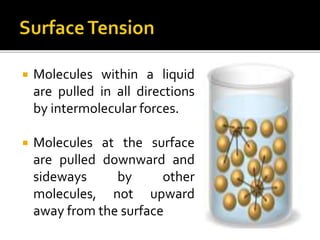 General Chemistry 2 - Chapter 1: The Kinetic Molecular Model and ...