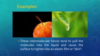 ◾These intermolecular forces tend to pull the
molecules into the liquid and cause the
surface to tighten like an elastic film or “skin”.
 