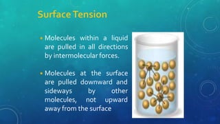 ◾Molecules within a liquid
are pulled in all directions
by intermolecular forces.
◾Molecules at the surface
are pulled downward and
sideways
molecules,
by other
not upward
away from the surface
 