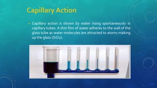 ◾ Capillary action is shown by water rising spontaneously in
capillary tubes. A thin film of water adheres to the wall of the
glass tube as water molecules are attracted to atoms making
up the glass (SiO2).
 