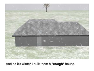 And as it's winter I built them a * cough*  house. 