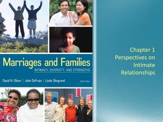 Chapter 1
Perspectives on
Intimate
Relationships
 