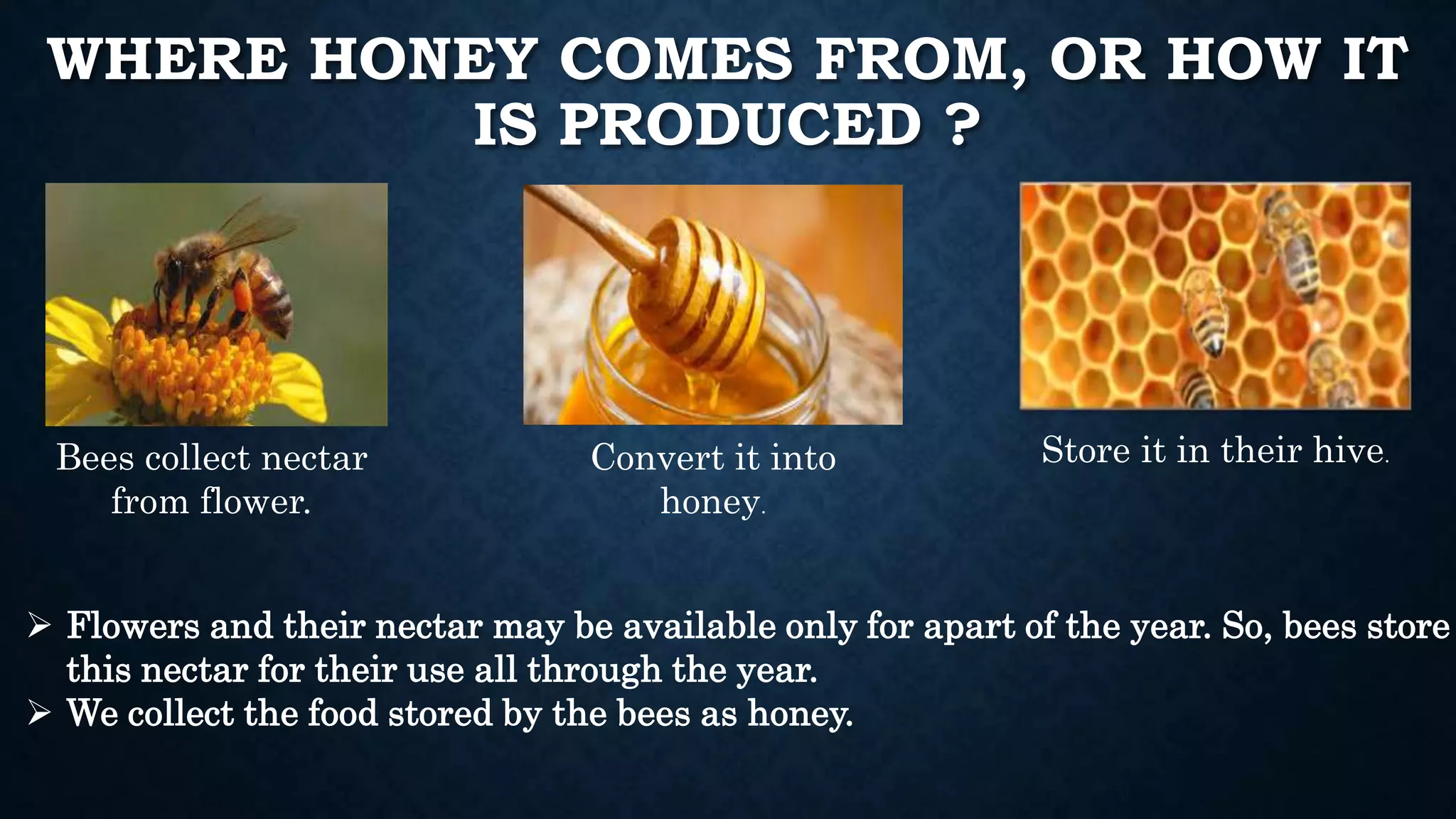 Where Did The Word Horney Come From