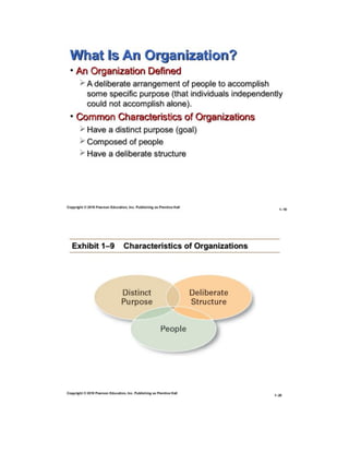 Introduction to Management and Organization | PDF