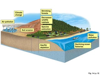 Fig. 1-4, p. 10
Water
pollution
Air pollution
Shrinking
forests
Climate
change
Soil erosion
Aquifer
depletion
Decreased
wildlife
habitats
Species
extinction
Declining ocean
fisheries
 