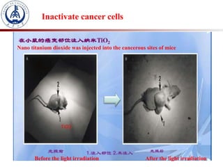 Inactivate cancer cells
Nano titanium dioxide was injected into the cancerous sites of mice
Before the light irradiation After the light irradiation
TiO2
 