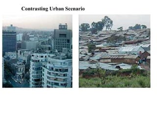 Contrasting Urban Scenario
 