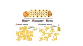 oil | PPT