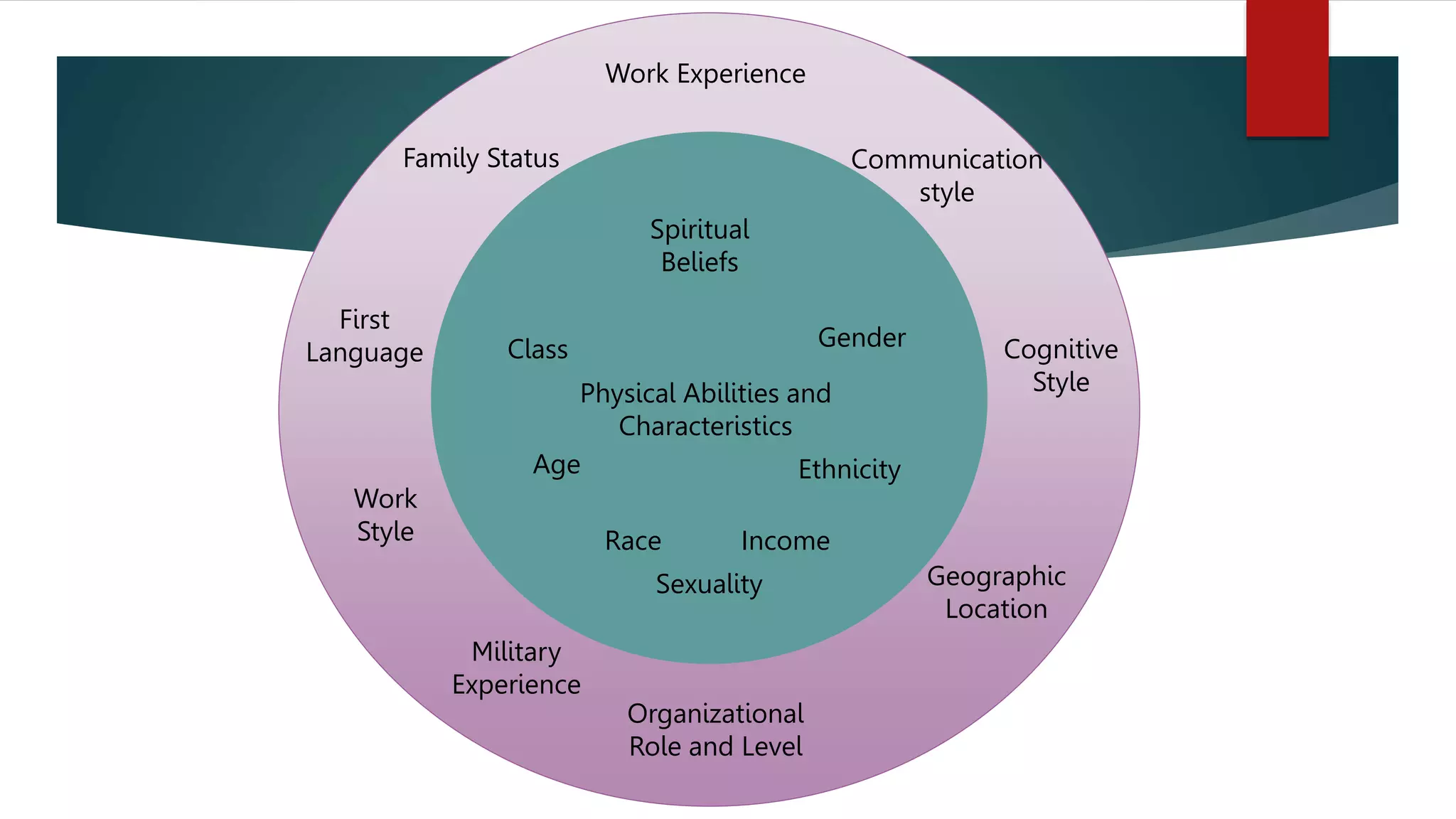 Work Experience
Communication
style
Family Status
First
Language Cognitive
Style
Work
Style
Military
Experience
Organizational
Role and Level
Geographic
Location
Spiritual
Beliefs
Gender
Class
Physical Abilities and
Characteristics
Age Ethnicity
Race Income
Sexuality
 