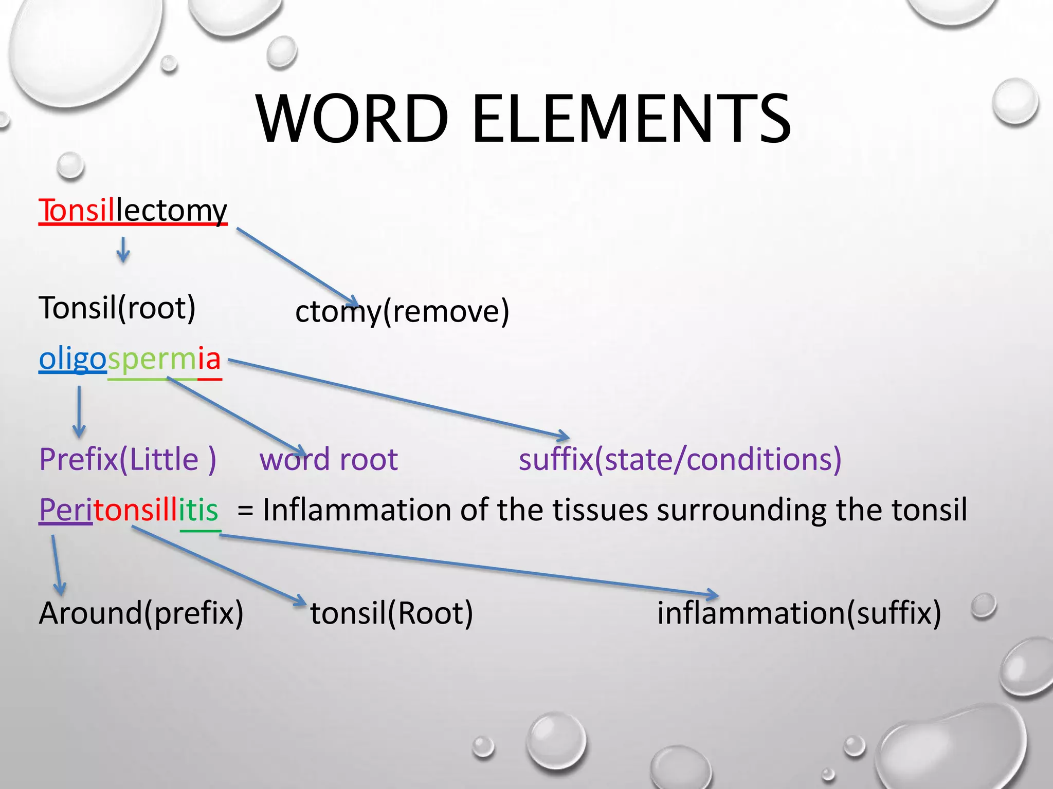 WORD ELEMENTS
Tonsillectomy
ctomy(remove)
Tonsil(root)
oligospermia
Prefix(Little ) word root suffix(state/conditions)
Peritonsillitis = Inflammation of the tissues surrounding the tonsil
Around(prefix) tonsil(Root) inflammation(suffix)
 