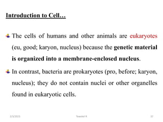 Introduction to Cell…
The cells of humans and other animals are eukaryotes
(eu, good; karyon, nucleus) because the genetic material
is organized into a membrane-enclosed nucleus.
In contrast, bacteria are prokaryotes (pro, before; karyon,
nucleus); they do not contain nuclei or other organelles
found in eukaryotic cells.
Tewekel R 37
2/3/2023
 