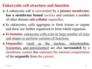 Eukaryotic cell structure and function
A eukaryotic cell is surrounded by a plasma membrane,
has a membrane bound nucleus and contains a number
of other distinct sub-cellular organelles.
In eukaryotes, cells aggregate to form tissues or organs
and these are further organized to form whole organism.
In humans, eukaryotic cells exist in large number of sizes
and shapes to perform varieties of functions.
Organelles (such as the nucleus, mitochondria,
lysosomes, and peroxisomes) are also surrounded by a
membrane system that separates the internal compartment
of the organelle from the cytosol.
38
Tewekel R
2/3/2023
 
