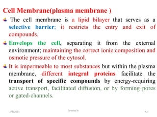 Cell Membrane(plasma membrane )
The cell membrane is a lipid bilayer that serves as a
selective barrier; it restricts the entry and exit of
compounds.
Envelops the cell, separating it from the external
environment; maintaining the correct ionic composition and
osmotic pressure of the cytosol.
It is impermeable to most substances but within the plasma
membrane, different integral proteins facilitate the
transport of specific compounds by energy-requiring
active transport, facilitated diffusion, or by forming pores
or gated-channels.
42
Tewekel R
2/3/2023
 