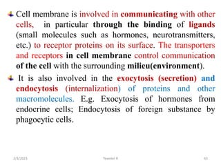 Cell membrane is involved in communicating with other
cells, in particular through the binding of ligands
(small molecules such as hormones, neurotransmitters,
etc.) to receptor proteins on its surface. The transporters
and receptors in cell membrane control communication
of the cell with the surrounding milieu(environment).
It is also involved in the exocytosis (secretion) and
endocytosis (internalization) of proteins and other
macromolecules. E.g. Exocytosis of hormones from
endocrine cells; Endocytosis of foreign substance by
phagocytic cells.
Tewekel R 43
2/3/2023
 