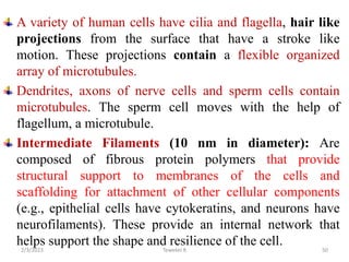 A variety of human cells have cilia and flagella, hair like
projections from the surface that have a stroke like
motion. These projections contain a flexible organized
array of microtubules.
Dendrites, axons of nerve cells and sperm cells contain
microtubules. The sperm cell moves with the help of
flagellum, a microtubule.
Intermediate Filaments (10 nm in diameter): Are
composed of fibrous protein polymers that provide
structural support to membranes of the cells and
scaffolding for attachment of other cellular components
(e.g., epithelial cells have cytokeratins, and neurons have
neurofilaments). These provide an internal network that
helps support the shape and resilience of the cell.
Tewekel R 50
2/3/2023
 