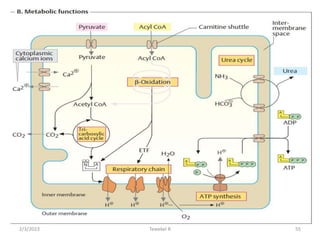 55
Tewekel R
2/3/2023
 