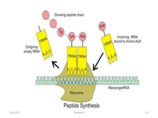 Tewekel R 57
2/3/2023
 