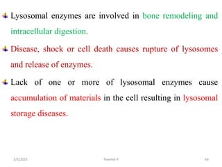 Lysosomal enzymes are involved in bone remodeling and
intracellular digestion.
Disease, shock or cell death causes rupture of lysosomes
and release of enzymes.
Lack of one or more of lysosomal enzymes cause
accumulation of materials in the cell resulting in lysosomal
storage diseases.
64
Tewekel R
2/3/2023
 
