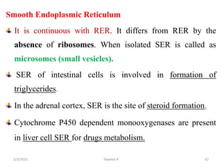 Smooth Endoplasmic Reticulum
It is continuous with RER. It differs from RER by the
absence of ribosomes. When isolated SER is called as
microsomes (small vesicles).
SER of intestinal cells is involved in formation of
triglycerides.
In the adrenal cortex, SER is the site of steroid formation.
Cytochrome P450 dependent monooxygenases are present
in liver cell SER for drugs metabolism.
67
Tewekel R
2/3/2023
 