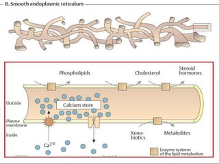 68
Tewekel R
2/3/2023
 