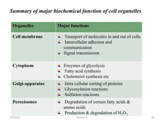 Summary of major biochemical function of cell organelles
Tewekel R
Organelles Major functions
Cell membrane Transport of molecules in and out of cells
Intercellular adhesion and
communication
Signal transmission
Cytoplasm Enzymes of glycolysis
Fatty acid synthesis
Cholesterol synthesis etc
Golgi-apparatus Intra cellular sorting of proteins
Glycosylation reactions
Sulfation reactions
Peroxisomes Degradation of certain fatty acids &
amino acids
Production & degradation of H2O2
80
2/3/2023
 
