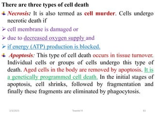 There are three types of cell death
Necrosis: It is also termed as cell murder. Cells undergo
necrotic death if
 cell membrane is damaged or
 due to decreased oxygen supply and
 if energy (ATP) production is blocked.
Apoptosis: This type of cell death occurs in tissue turnover.
Individual cells or groups of cells undergo this type of
death. Aged cells in the body are removed by apoptosis. It is
a genetically programmed cell death. In the initial stages of
apoptosis, cell shrinks, followed by fragmentation and
finally these fragments are eliminated by phagocytosis.
83
Tewekel R
2/3/2023
 
