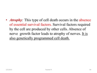 • Atrophy: This type of cell death occurs in the absence
of essential survival factors. Survival factors required
by the cell are produced by other cells. Absence of
nerve growth factor leads to atrophy of nerves. It is
also genetically programmed cell death.
Tewekel R 84
2/3/2023
 