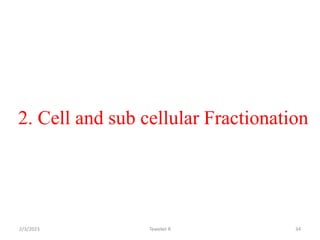 2. Cell and sub cellular Fractionation
34
Tewekel R
2/3/2023
 