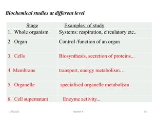 Biochemical studies at different level
Stage Examples of study
1. Whole organism Systems: respiration, circulatory etc..
2...